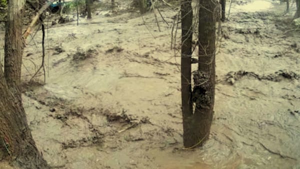 New Mexico Flooding Leaves Three Dead as Flash Floods Devastate Region